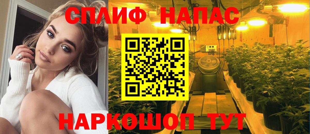 Конопля марихуана  Конопля White Widow  Вход с VPN  Курганинск  Марихуана сатива 
